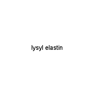 lysyl elastin